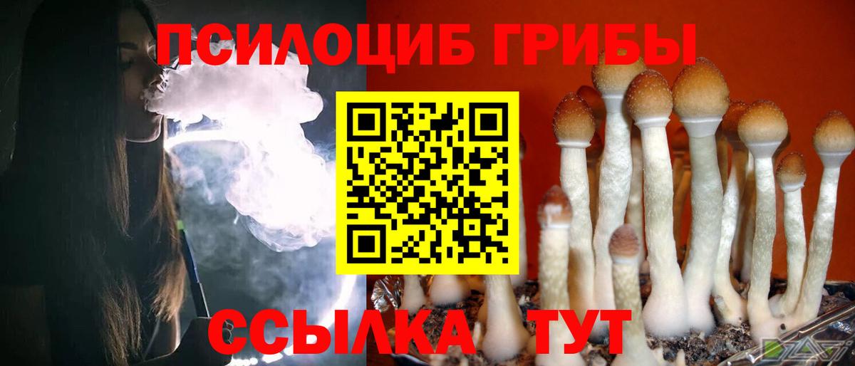 Строитель  Псилоцибиновые грибы Psilocybine cubensis  Псилоцибиновые грибы ЛСД  Вход с VPN 